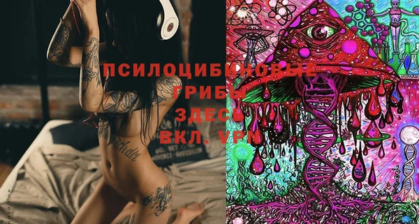 2c-b Алексин