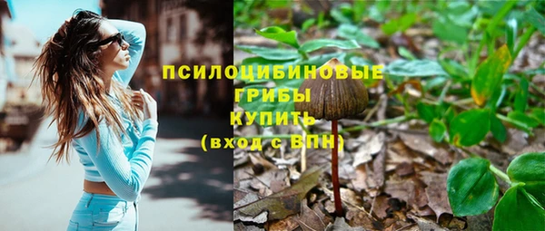 2c-b Алексин