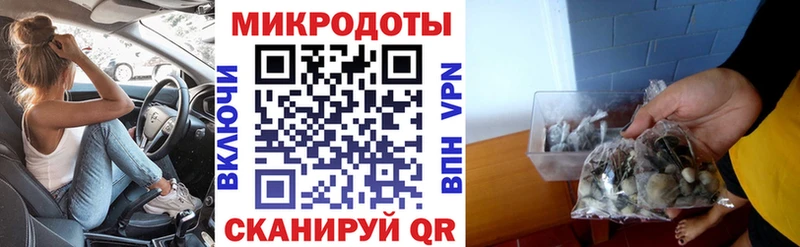 Псилоцибиновые грибы Cubensis  Красноармейск 